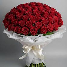 Букет 101 Красная роза Блэк Мэджик в Архангельском Воронежской области