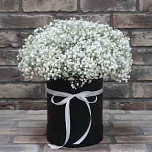 Цветочная композиция из Гипсофила в шляпной коробке в Архангельском Воронежской области