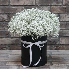 Цветочная композиция из Гипсофила в шляпной коробке в Архангельском Воронежской области